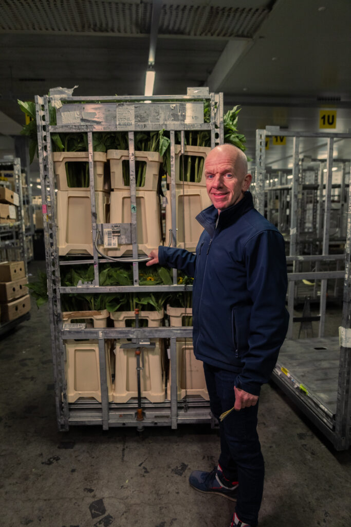 Allround Medewerker Logistiek